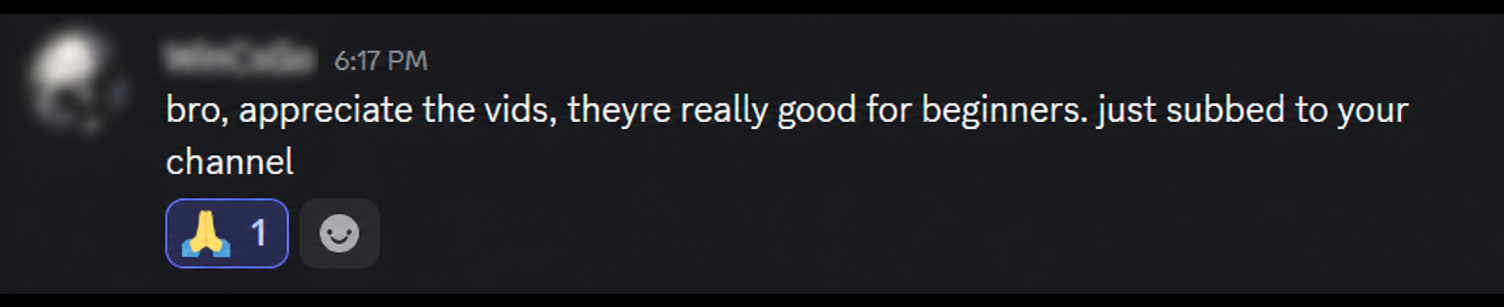 An anonymized viewer saying Ospa's videos are useful for beginners